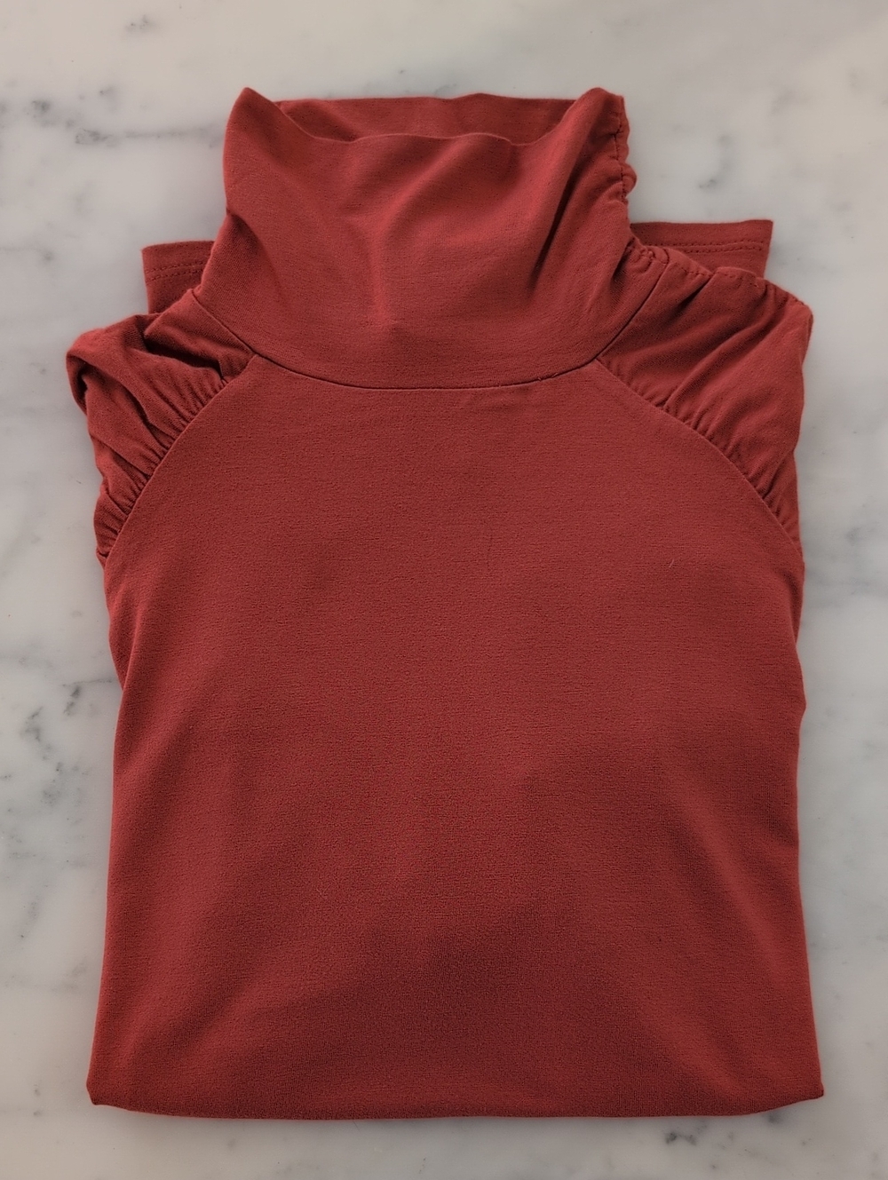 NWOT. The Limited Rayon and Spandex Sleeve Design High Neck Short Sleeve Blouse.